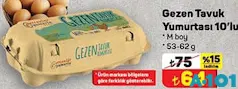 GEZEN TAVUK YUMURTASI 10'LU